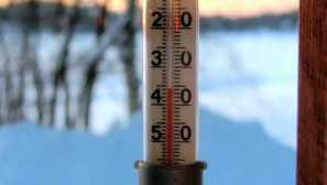 Co se bojí švábi a jak se s nimi vypořádat v bytě